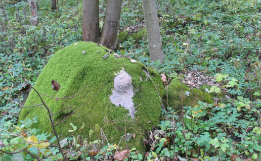 3_Akmenų ruožas velniakelis 1 (1).jpg